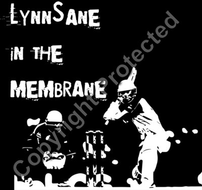 Lynnsane